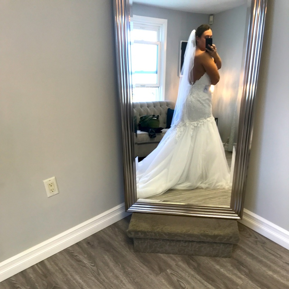 Wedding Dress with belt and veil - Picture 2 of 3